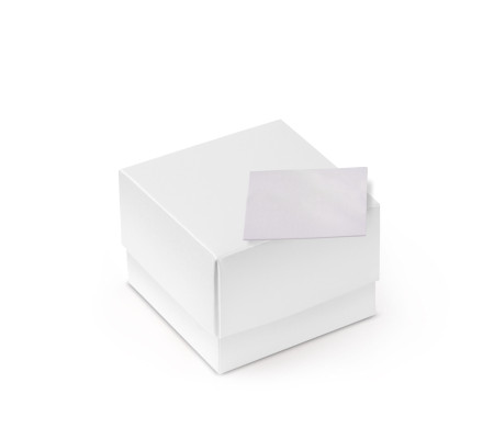 Pretty Gift Box with Lid and Decorative Bow