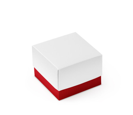 Pretty Gift Box with Lid and Decorative Bow