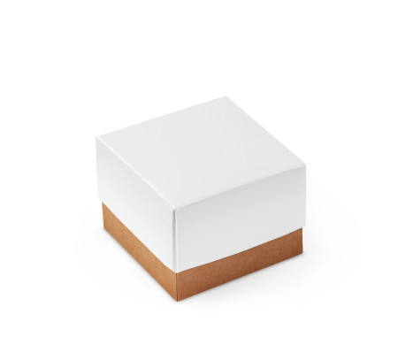 Pretty Gift Box with Lid and Decorative Bow