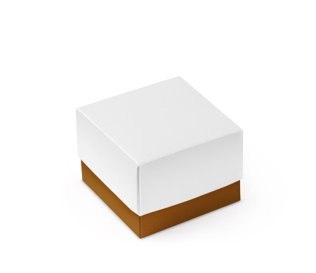 Pretty Gift Box with Lid and Decorative Bow
