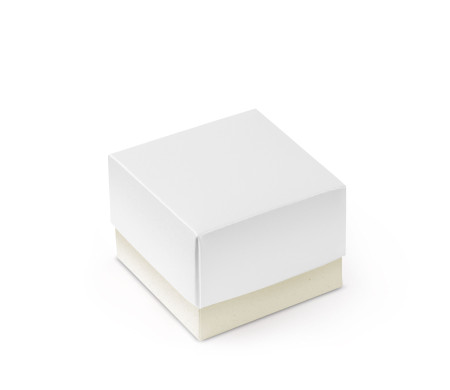 Pretty Gift Box with Lid and Decorative Bow