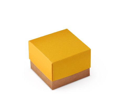 Pretty Gift Box with Lid and Decorative Bow