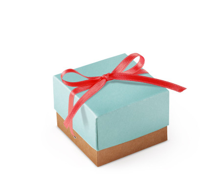 Pretty Gift Box with Lid and Decorative Bow