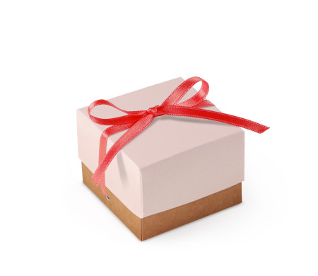 Pretty Gift Box with Lid and Decorative Bow
