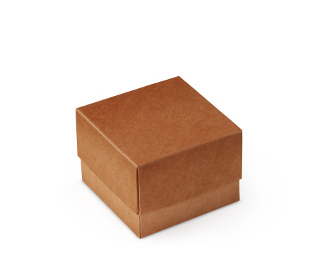 Pretty Gift Box with Lid and Decorative Bow