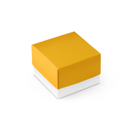 Pretty Gift Box with Lid and Decorative Bow