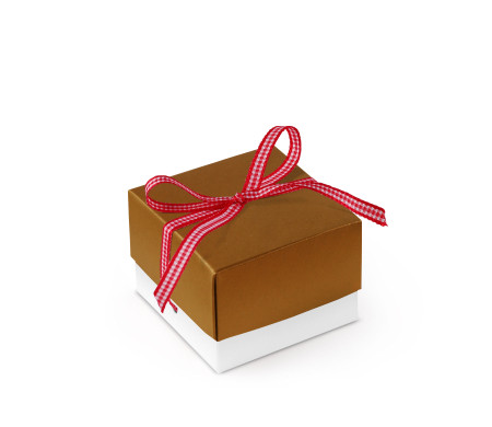 Pretty Gift Box with Lid and Decorative Bow