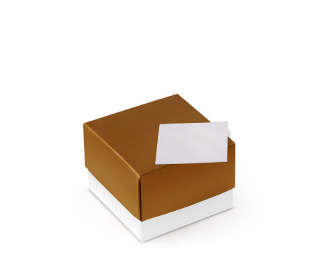 Pretty Gift Box with Lid and Decorative Bow