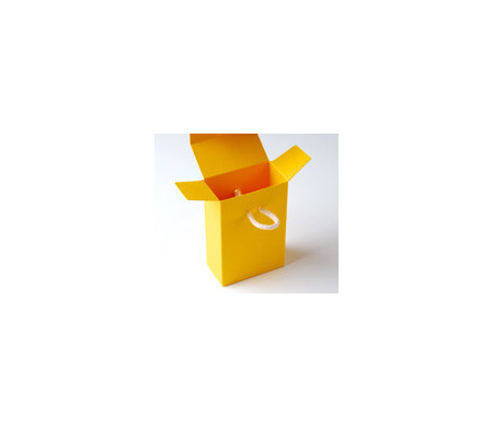 Cardboard Gift Box with a Very Original Fastener
