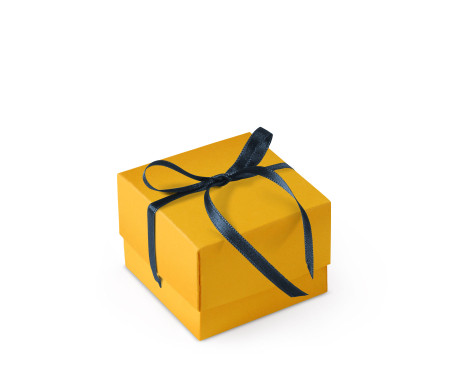 Pretty Gift Box with Lid and Decorative Bow