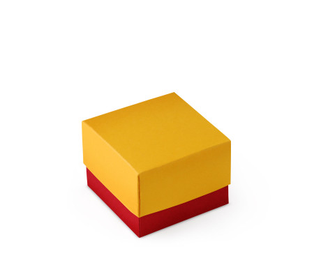 Pretty Gift Box with Lid and Decorative Bow