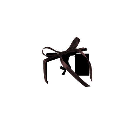Pretty Gift Box with Lid and Decorative Bow