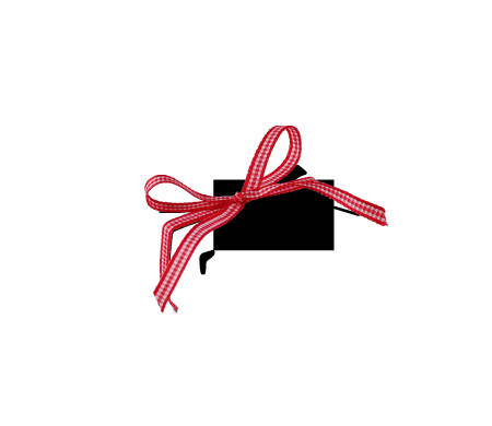 Pretty Gift Box with Lid and Decorative Bow