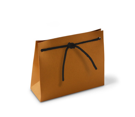 Paper Gift Bag with Cord