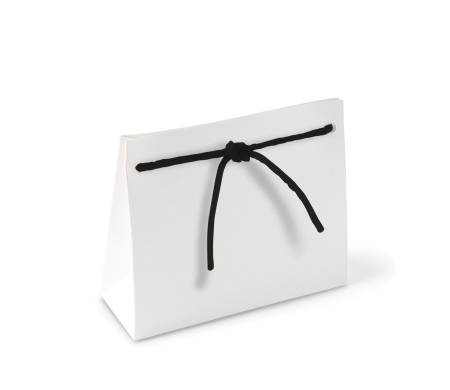 Paper Gift Bag with Cord