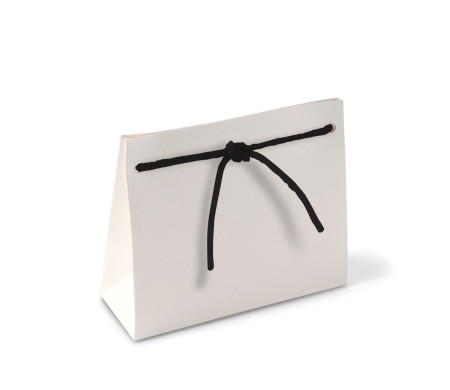 Paper Gift Bag with Cord