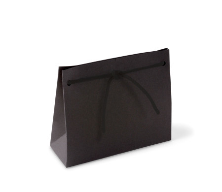 Paper Gift Bag with Cord