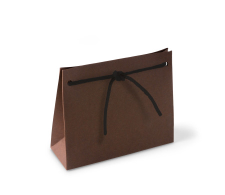 Paper Gift Bag with Cord
