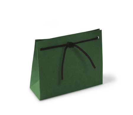 Paper Gift Bag with Cord