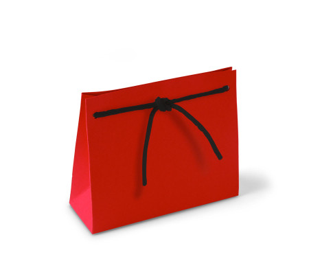 Paper Gift Bag with Cord