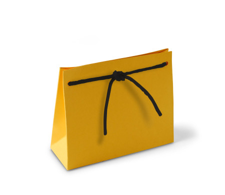 Paper Gift Bag with Cord
