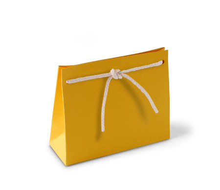 Paper Gift Bag with Cord