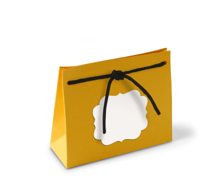 Paper Gift Bag with Cord