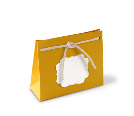 Paper Gift Bag with Cord
