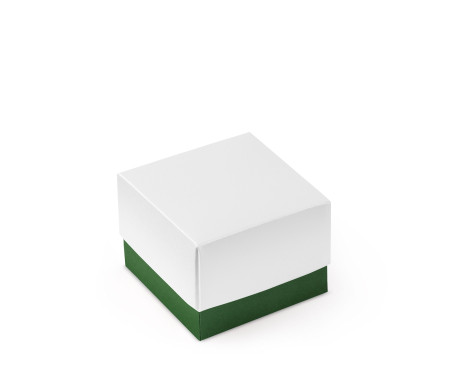 Pretty Gift Box with Lid and Decorative Bow