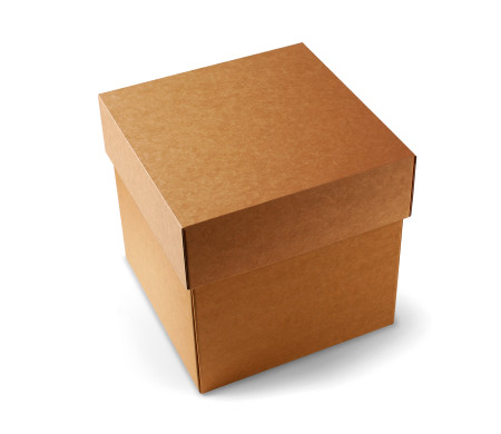 Shipping Box with Separate Lid