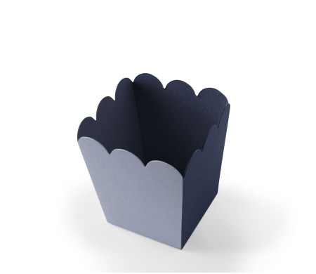 Popcorn Box for Parties and Events