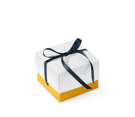 Pretty Gift Box with Lid and Decorative Bow