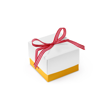 Pretty Gift Box with Lid and Decorative Bow
