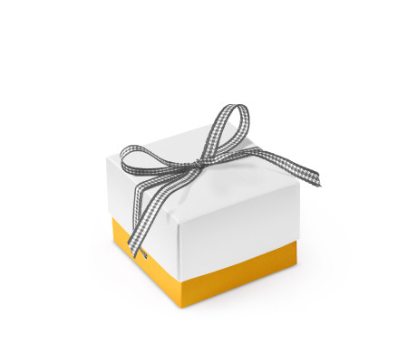 Pretty Gift Box with Lid and Decorative Bow