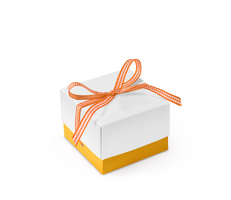 Pretty Gift Box with Lid and Decorative Bow