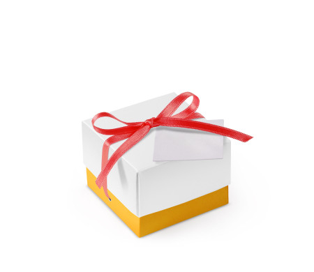 Pretty Gift Box with Lid and Decorative Bow