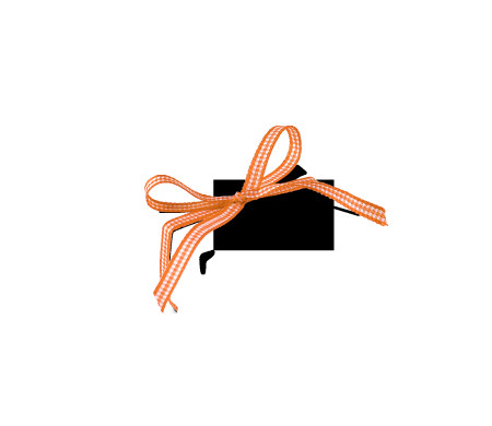 Pretty Gift Box with Lid and Decorative Bow