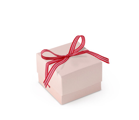 Pretty Gift Box with Lid and Decorative Bow