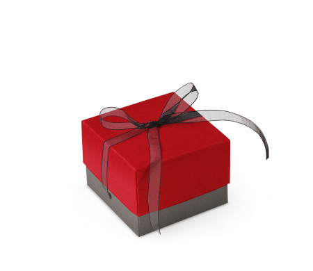 Pretty Gift Box with Lid and Decorative Bow