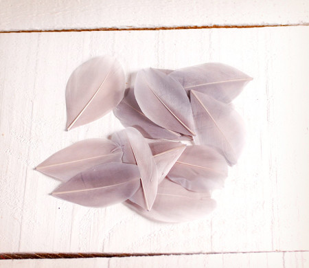 Feathers for handicrafts
