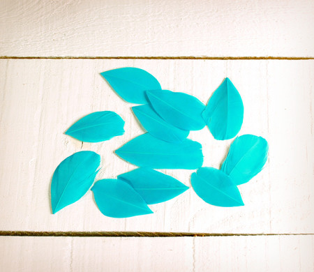 Feathers for handicrafts
