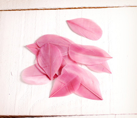 Feathers for handicrafts