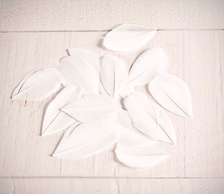Feathers for handicrafts
