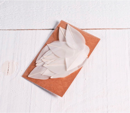 Feathers for handicrafts