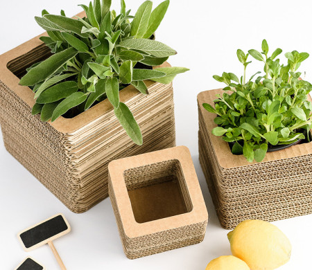 Cardboard Vases