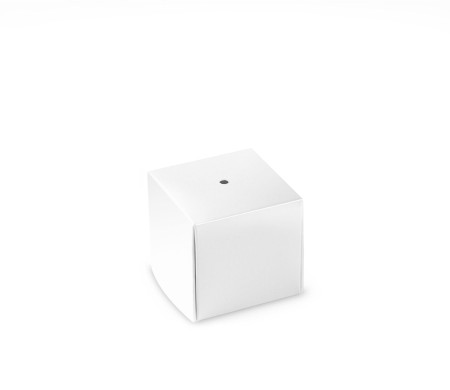 Box for a Single Cake Pop