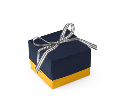 Pretty Gift Box with Lid and Decorative Bow