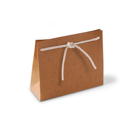 Paper Gift Bag with Cord
