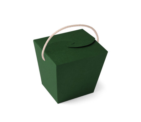 Chinese Noodle Box