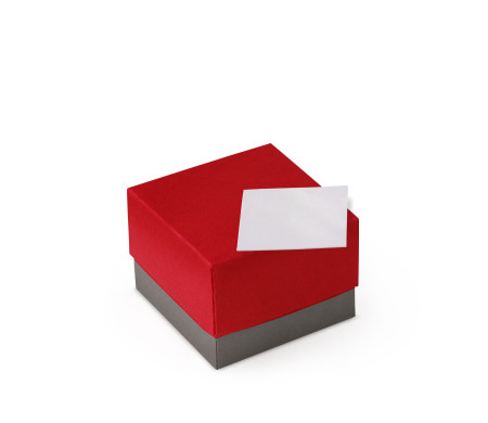 Pretty Gift Box with Lid and Decorative Bow